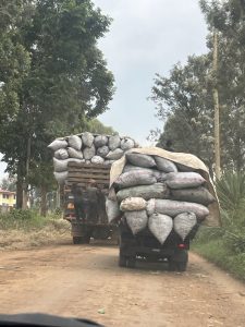 Sud-Kivu : le commerce du makala prospère, le Parc national de Kahuzi-Biega en péril